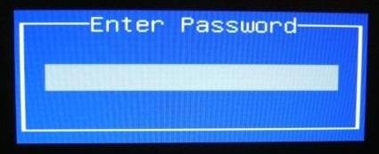 bios password